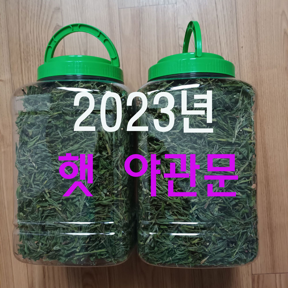 2023년 햇 야관문 성분 잘 우러나오는 어린잎 야관문 1통 14900원 2통 19800원 무료배송