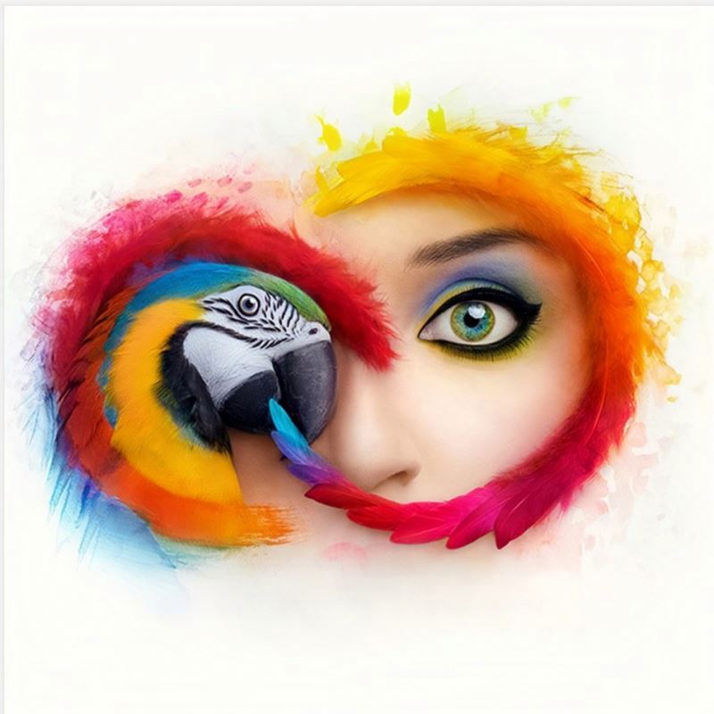 Adob​​e Creative Cloud 정품 1년구독 Adobe CC 기업용 20여가지 모든앱 사용권